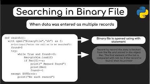 Binary Files (Searching and Updating the records) Part II (Class XII, CBSE)