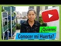 Hoy te presento Mi Huerta Casera – y Cosecharemos  junto a Cultivos Urbanos