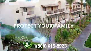 Top 3 Bed Bug Removal in Moreau