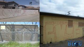 Gang Case Files: Compton Locos and Bloomas 13 members kill Compton Varrio Tortilla Flats member 2007