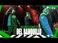 MEJORES REACCIONES DEL BANQUILLO #FMSMEXICO J3 - T6 2025/26