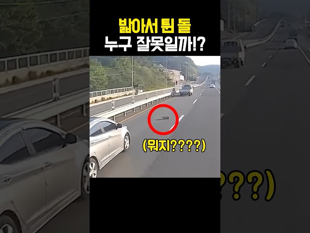 밟아서 튄 돌 누구 잘못일까!? #블랙박스 #사고 #shorts