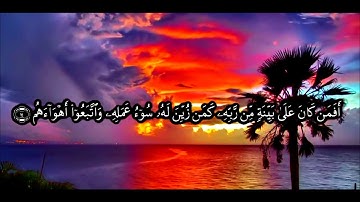 ما تيسر من سورة محمد - الشيخ ياسر سرحان الديب