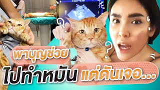 OMG!! พา "บุญช่วย" ไปทำหมัน แต่ดันเจอสิ่งนี้!? | Nisamanee.Nutt