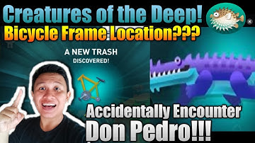 Creatures of the Deep Bicycle Frame Location❗ Cara Memancing Bicycle Frame⁉️ COSTA RICA Trash Item❗