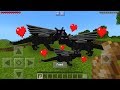 How To Breed Ender Dragons in Minecraft Pocket Edition (Baby Dragon Addon)