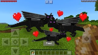 How To Breed Ender Dragons in Minecraft Pocket Edition (Baby Dragon Addon) screenshot 2