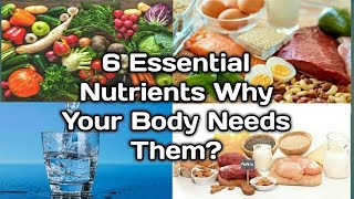6 Essential Nutrients Why Your Body Needs Them?