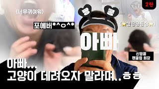 고양이 데려오지 말라던 아빠ㅋㅋㅋ  |  그 후 이야기..