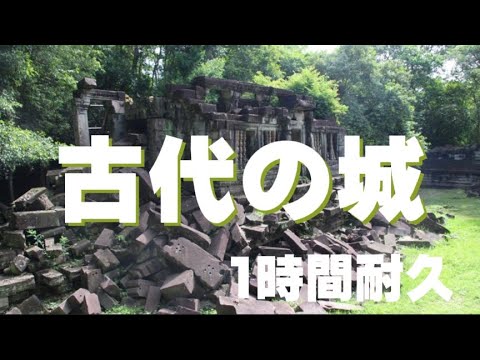 ポケモンbw 古代の城 Bgm 1時間耐久 Youtube