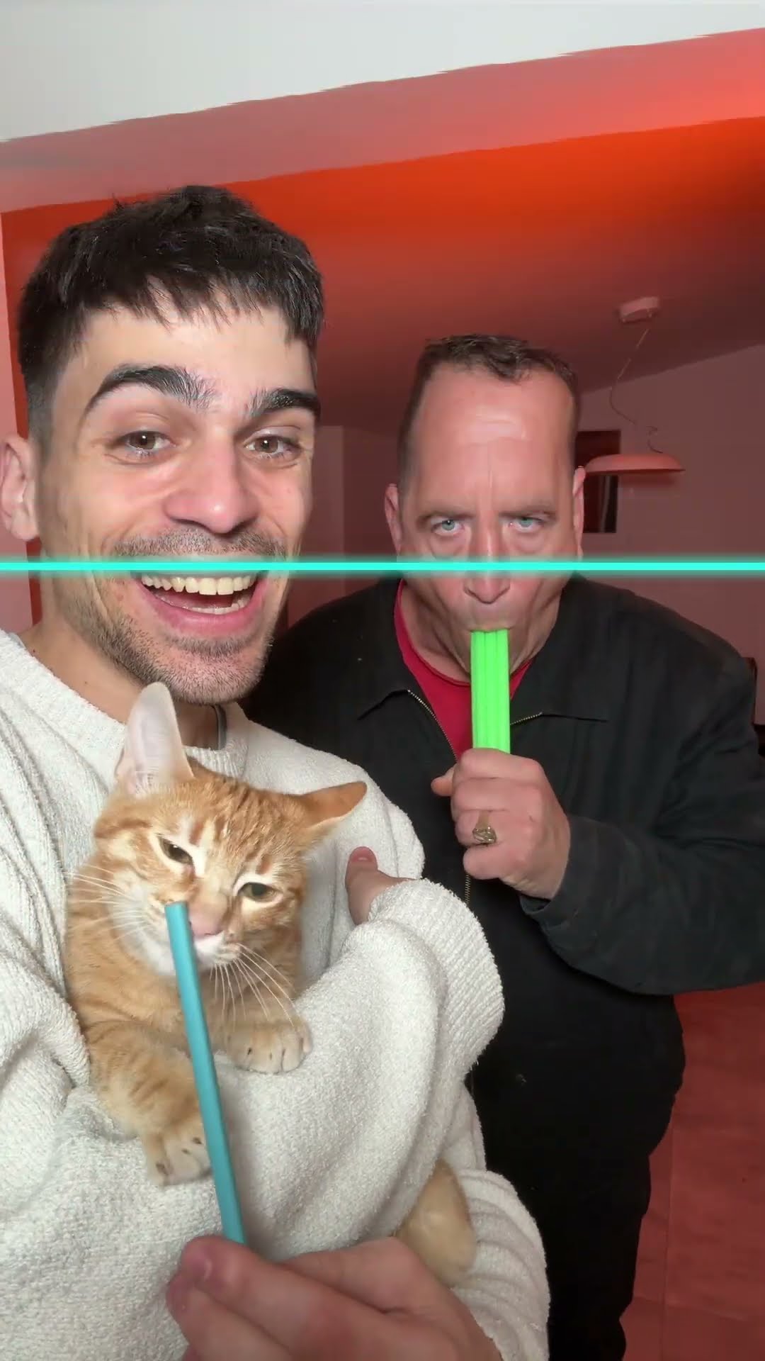Que os parece el gatito? ?