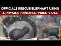 Odisha Forest Officials Apply A Physics Principle To Rescue Elephant, Video Goes Viral