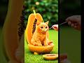 Papaya Cat: The Cutest Fruit-Shaped Kitten Ever!” #ukulele #shortsfeed #usatrendingcatvideo #shorts