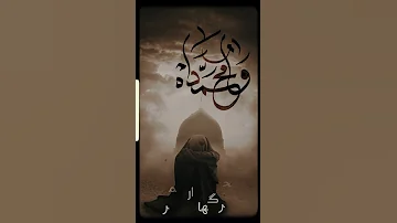 مسلم الوائلي استشهاد النبي محمد صلى الله عليه وآله وسلم فرق راس ورمح 