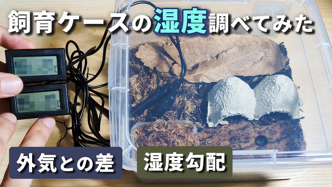 Isopod Lab] A Must-See for Keepers! How Humidity Actually Changes