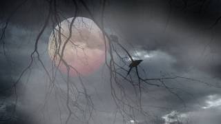 Days Of Blight, Dungeons And Dragons 5E Adventure