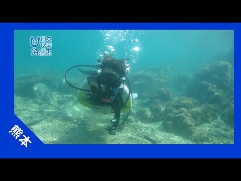 2017 #18 Amazingly Clear Water!! Ushibuka Diving | The Ocean and Japan PROJECT in Kumamoto