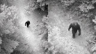 Download Lagu Helicopter Pilot Films GIANT SASQUATCH Carrying Human Body - Bigfoot Story MP3 Download Lagu Helicopter Pilot Films GIANT SASQUATCH Carrying Human Body - Bigfoot Story MP3