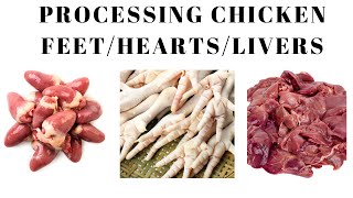 How We Process Chicken Feet, Liver, and Hearts.