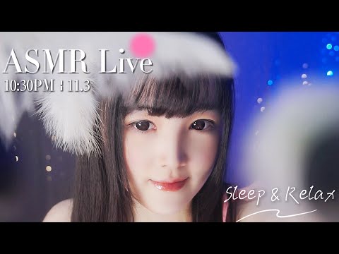 [LIVE] ASMR 助眠系女友深夜輕聲哄睡🌙 Relaxing Girlfriend ASMR • 11/3 10:30PM【ASMR 少寒Shine】
