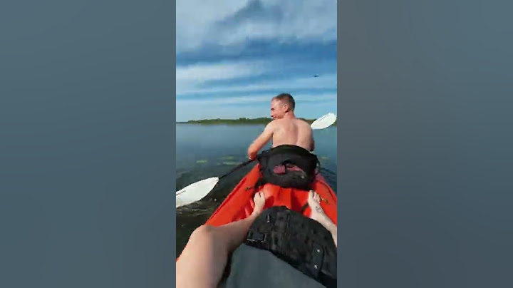 Huge Alligator Uncomfortably Close to Kayakers || ViralHog