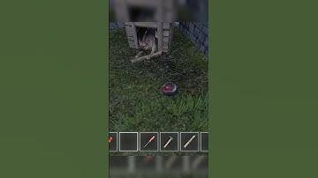 Cooking Meat For Dog #shorts #funny School Boy Runaway #schoolboyrunaway German Shepherd Needs Feed