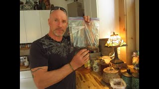 Sabal louisiana palm seeds being germinated using baggy method.