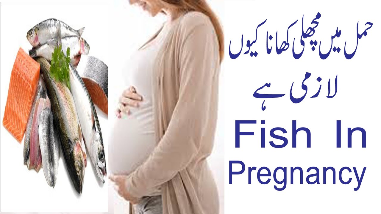 fish in pregnancy / pregnancy / fish during pregnancy / eating fish