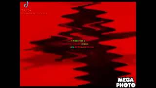 Pingu Efet 20000000000