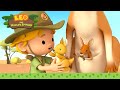 The KANGAROOS Are Blocking The ROAD Red Kangaroo Leo The Wildlife Ranger Kids Cartoons 