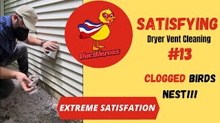 Satisfying Dryer Vent Cleaning #13 (HUGE BIRDS NEST!!!)