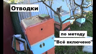 Отводки по методу пчеловодства 