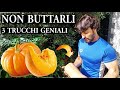 ZUCCHE, ECCO PERCHè I SEMI NON DEVI MAI BUTTARLI, 3 trucchi semplici e geniali FAI QUESTO IN autunno