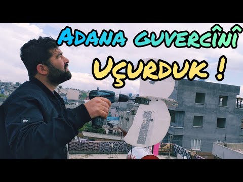 GÜVERCİNLERİ UÇURDUK ! Adana Güvercin Kümesleri