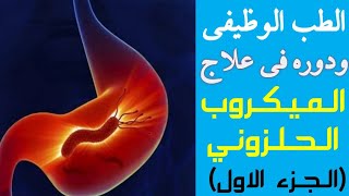 جرثومة المعدة (الميكروب الحلزوني) | الجزء الاول