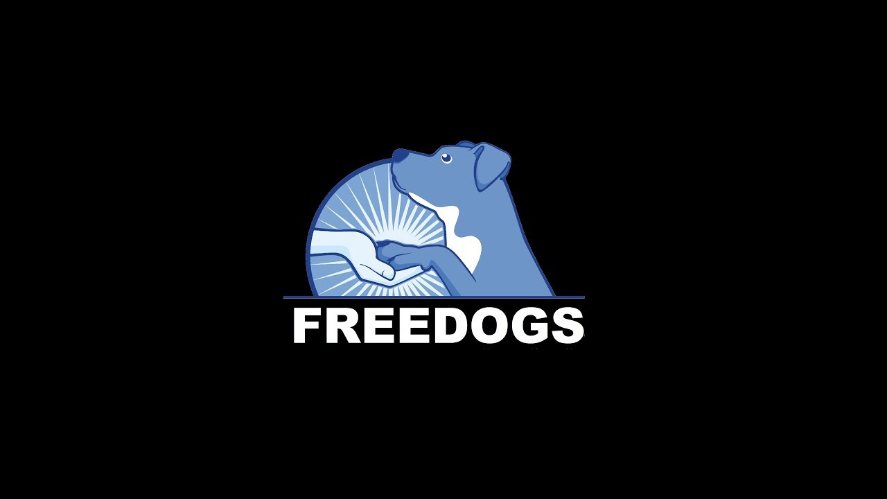 Freedogs présentation - YouTube