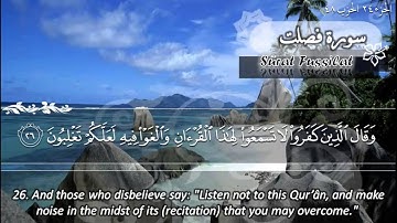 سورة فصلت ماهر المعيقلي   Sûrat Fussilat Maher Al Muaiqly