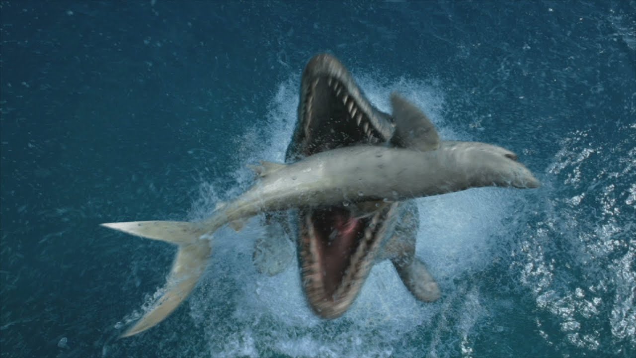 Monstres des mers 3D - Bande-annonce - YouTube - Le Monstre Des Mers Bande Annonce Vf