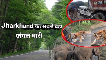 Koderma Ghati | Koderma Valley Road Jungle Ka Rasta 🙏 Koderma Forest Bihar Jharkhand | Dangerous ...