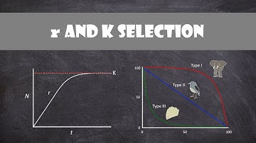 r and K selection | Ecology