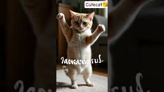 Download Lagu cute cat dancing togetherness is always beautiful🥰 #remix #song #music #love #togetherness #cutecat MP3