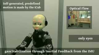 Gaze Stabilization for Humanoid Robots: a Comprehensive Framework