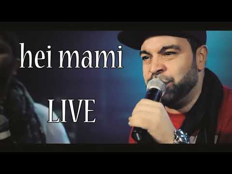 FLORIN SALAM - Hei mami