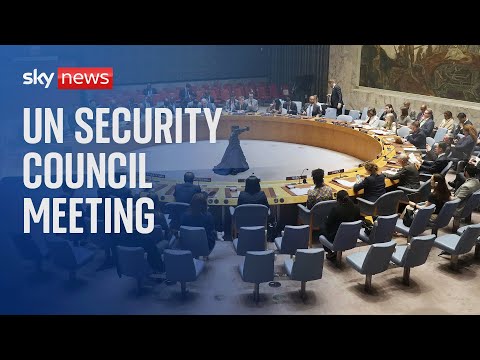 UN Security Council