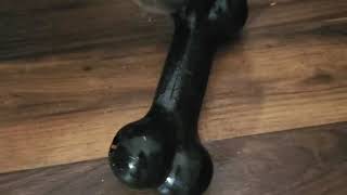 Kong Goodie Bone Pittbull Chew Toy Testing