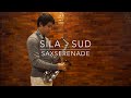 Sila - Sud (Saxophone Cover) Saxserenade