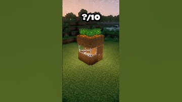 Minecraft Smallest House💡