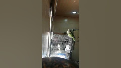 امازون سورة الإخلاص ٢