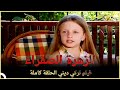 الزهرة الصفراء فيلم الدراما التركي الحلقة الكاملة مترجم للعربية