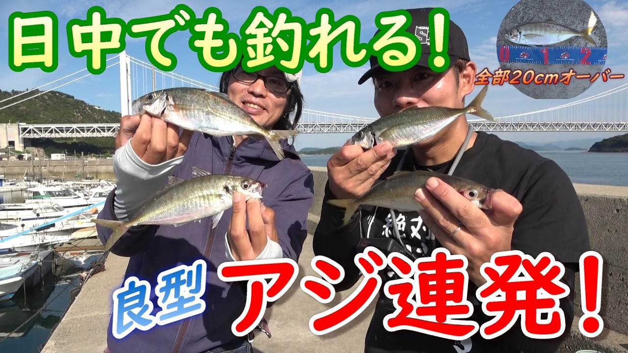 岡山アジ回遊中?!　しまなみ団さんとコラボしたら良型アジ連発！